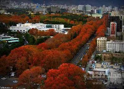 خیابان ولیعصر تهران ؛ خیابان خوب چنارها