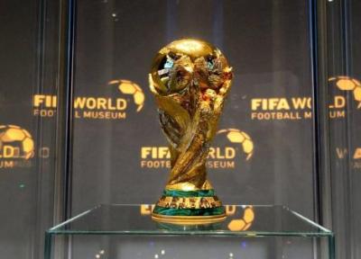 میرغفاری: بخشی از بلیط های جام جهانی را باید به وزارت خانه ها بدهیم