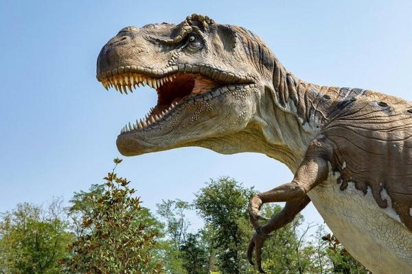 تصور ما از تی رکس ها غلط است؛ کشف تازه دانشمندان درباره دایناسور ها